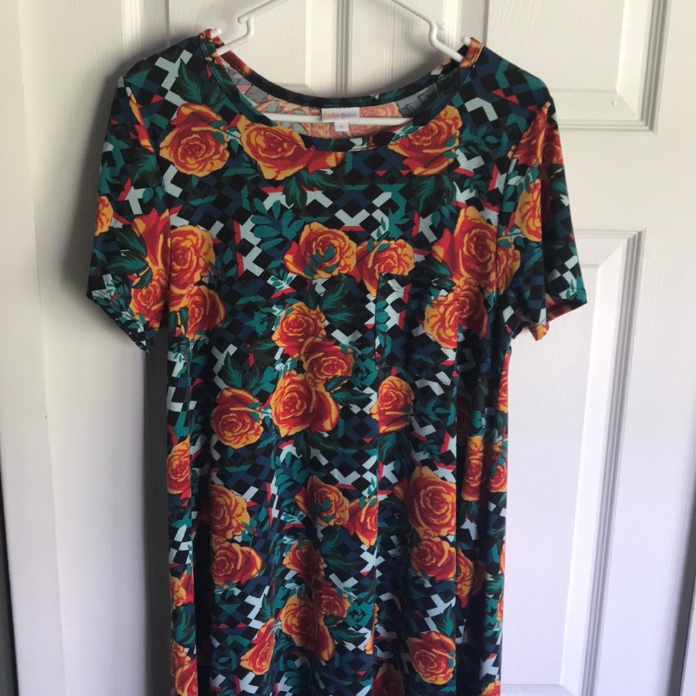 BNWOT Carly - Beautiful Print